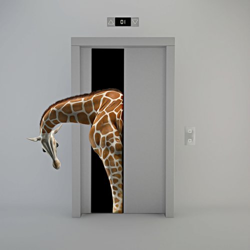 A Giraffe in the Elevator? by Mr Strange