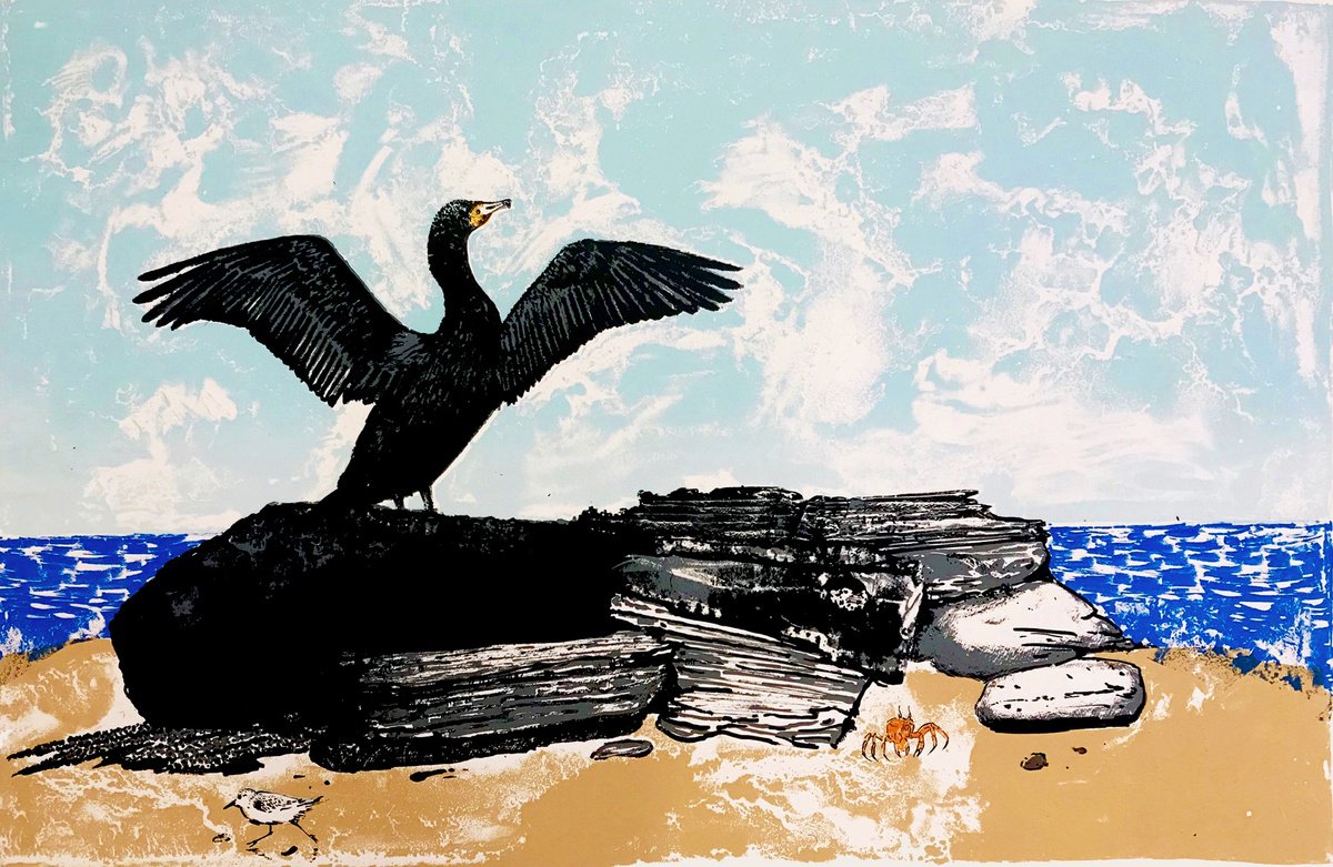 Cormorant, Drying Wings by Tim Southall