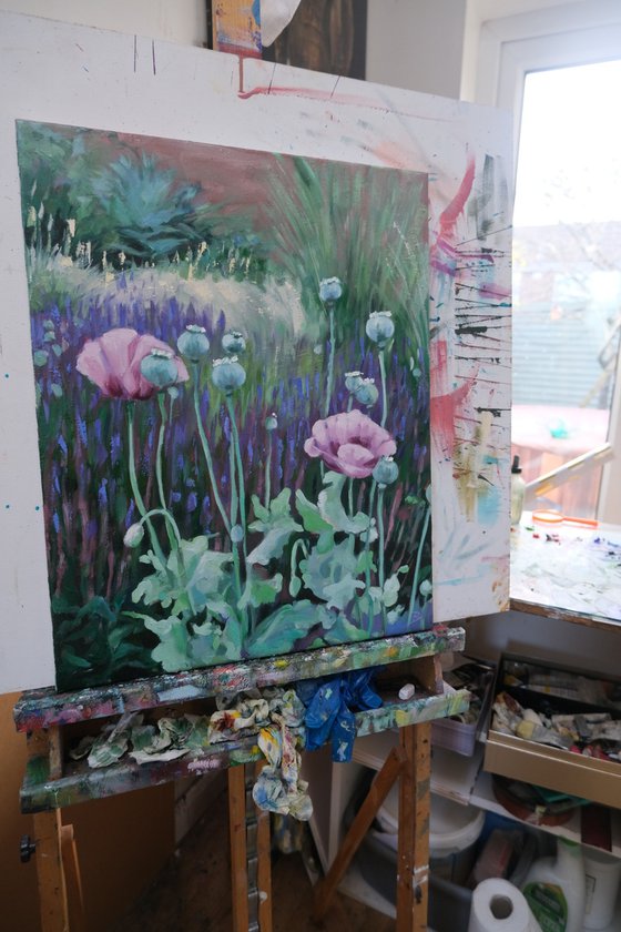 Pink poppies