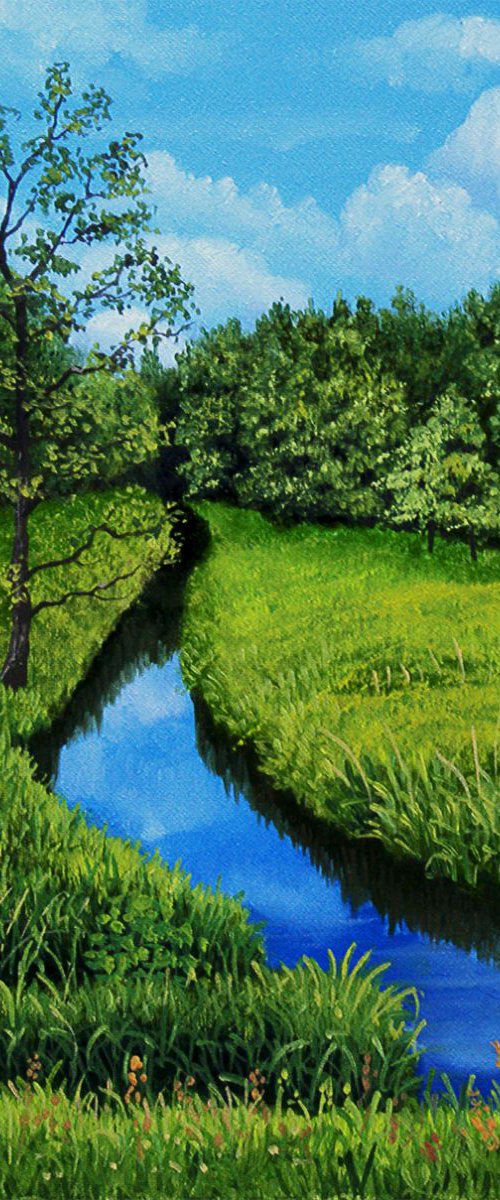 Meadow Creek by Dietrich Moravec