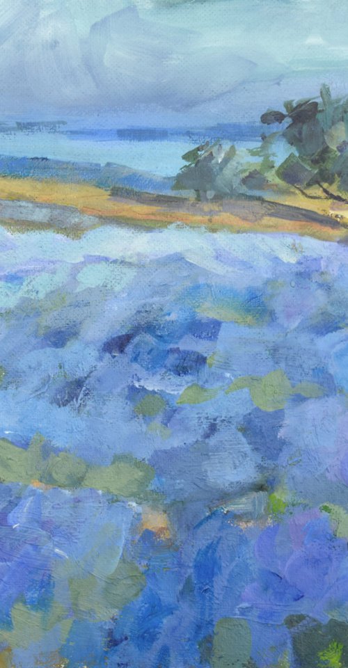 Lavender fields from island Hvar by Goran Žigolić Watercolors