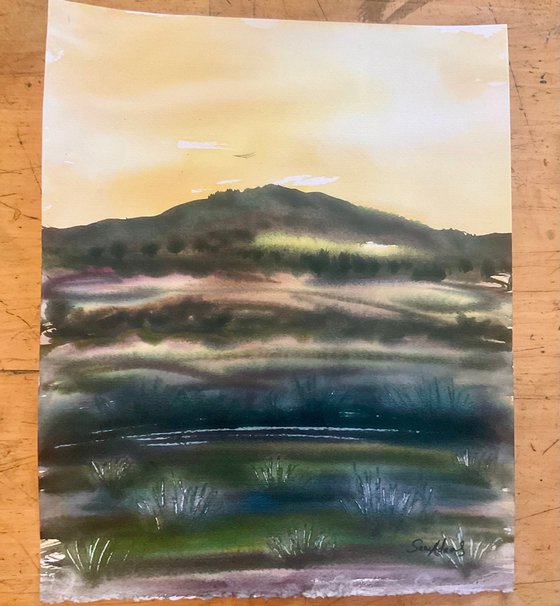 Creech Barrow hill, Dorset