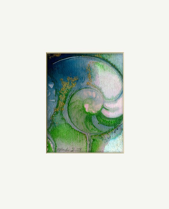 Nautilus Shell 989
