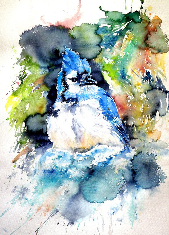 Blue jay