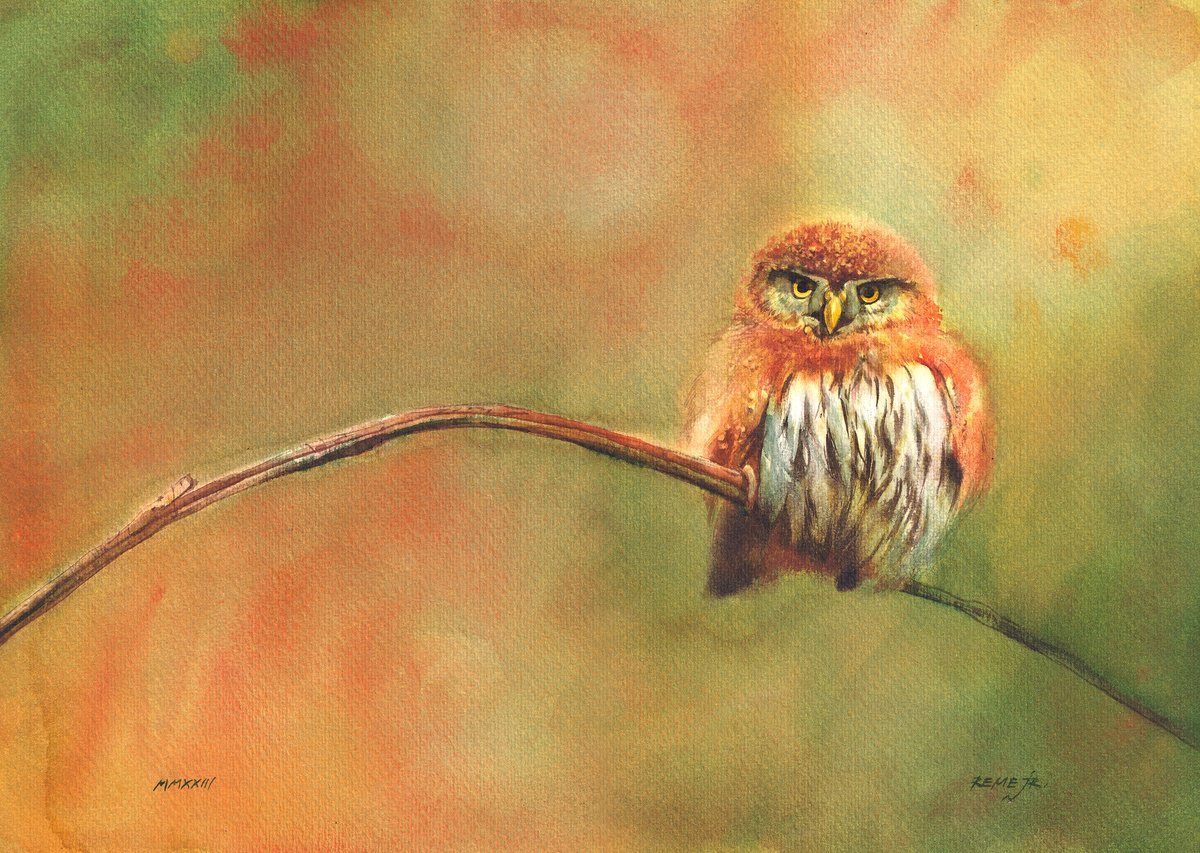 BIRD CCIV - Little Cute Owl by REME Jr.