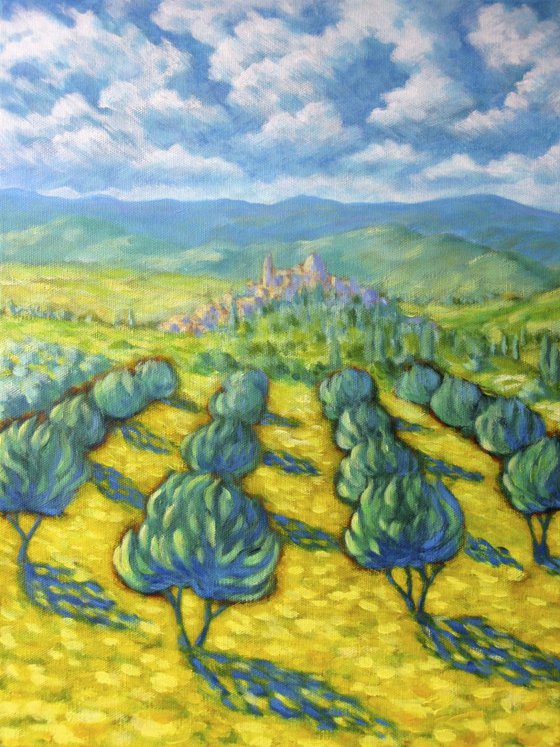 Olive Grove, Tuscan Summer Morning
