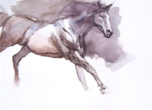 black stallion IV by Goran Žigolić Watercolors