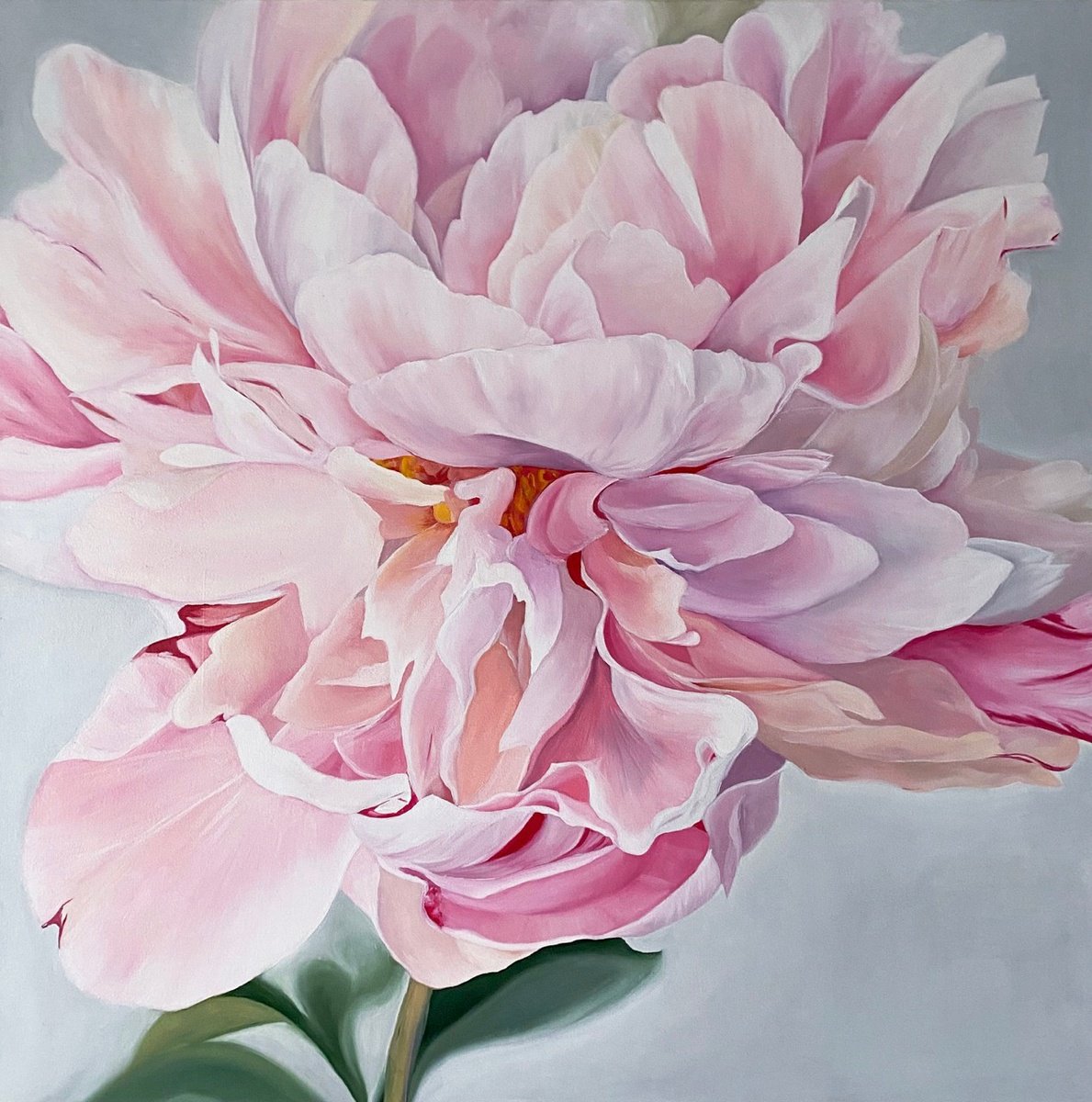 Photorealistic Botanical Oil Painting By Anna Lyashenko, 31 X 31, Pink Peony, Original Artwork