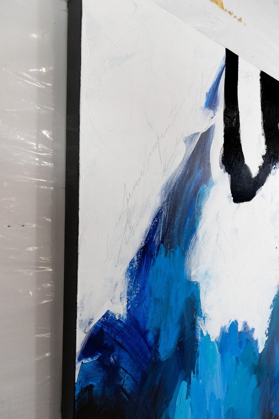 Bleuetière (Blueberry field)