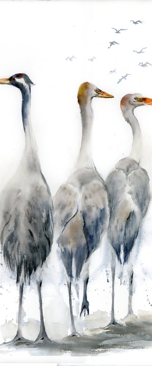 Three herons by Olga Tchefranov (Shefranov)