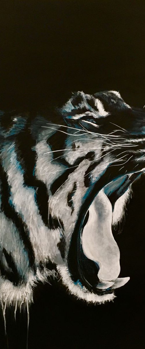 Tiger, Large Black and white Tiger, wall art by Paul Hardern