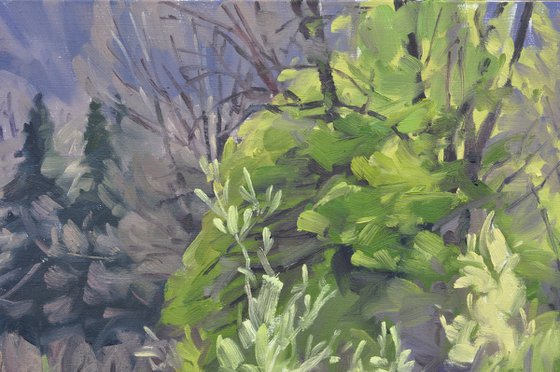 Morning Light on the Loire in Spring
