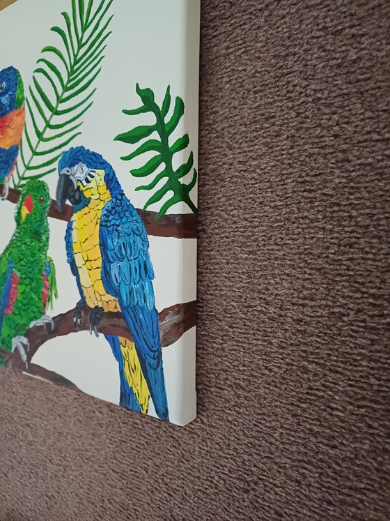Parrots