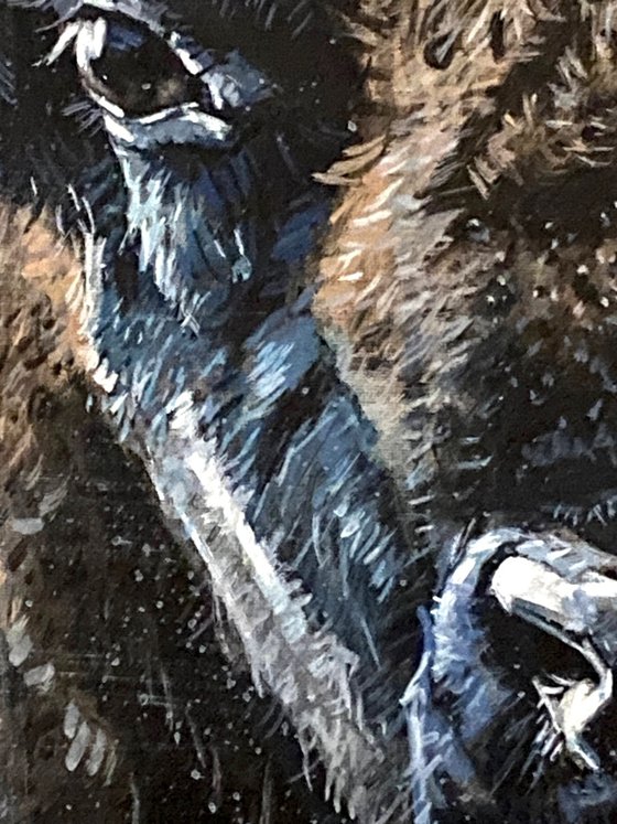 Silence in the Storm