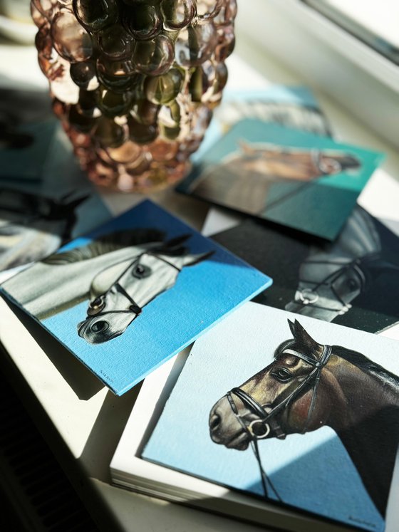 Horse Portrait 5