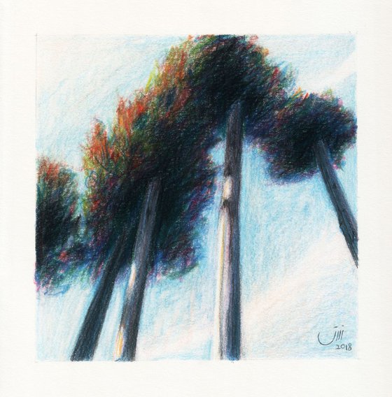 No.128, Trees in Sky