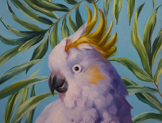 "White Cockatoo"