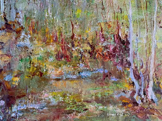 Forest Stream