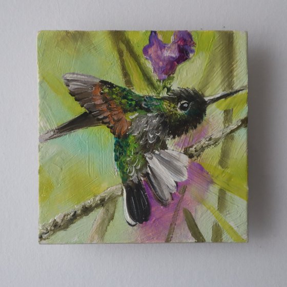 Hummingbird and Purple Flower, Set 2