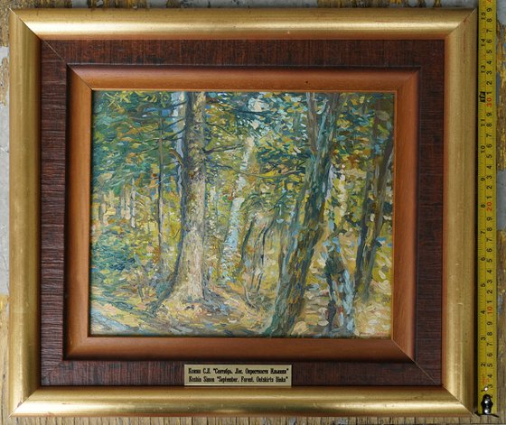 September. Forest. Surroundings of Ilyinki