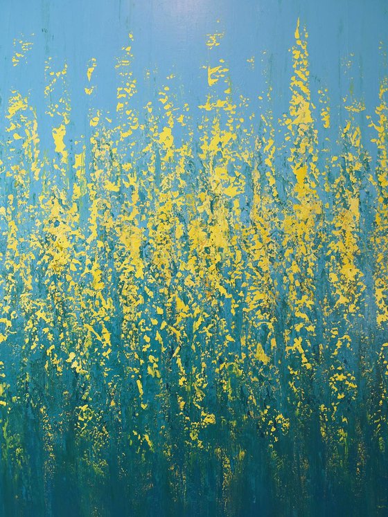 Spring Blooms - Flower Field