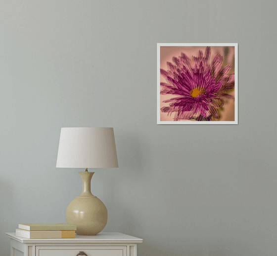 Abstract Flowers #1. Limited Edition 1/25 12x12 inch Photographic Print.