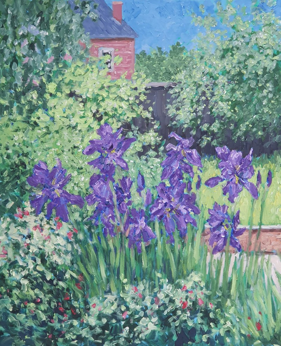 irises 4 by Colin Ross Jack