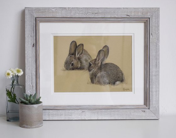 Grazing Rabbits
