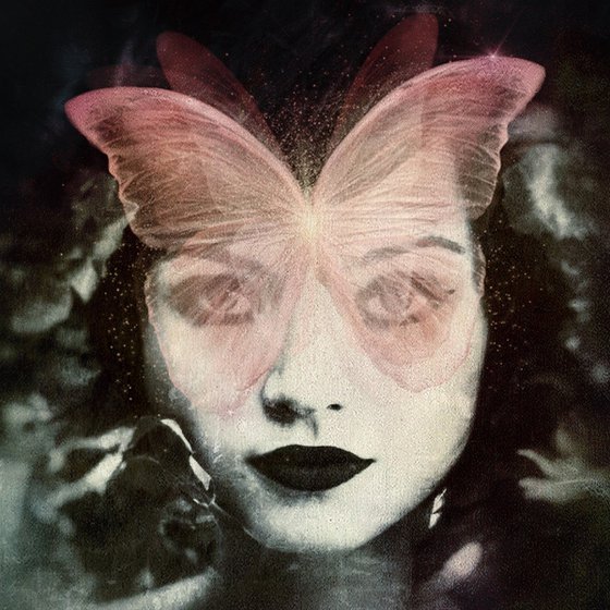 Miss Butterfly - Digital Art - Photography - Portrait - Manipulated - Collage