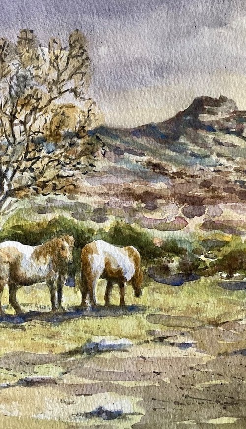 Dartmoor Ponies near Pew Tor by David Mather