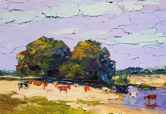 Near the Summer River