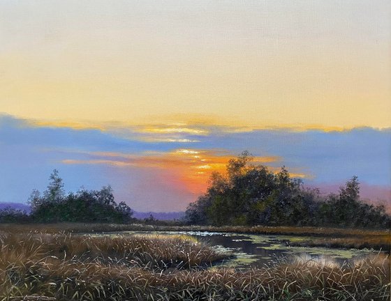 Summer evening