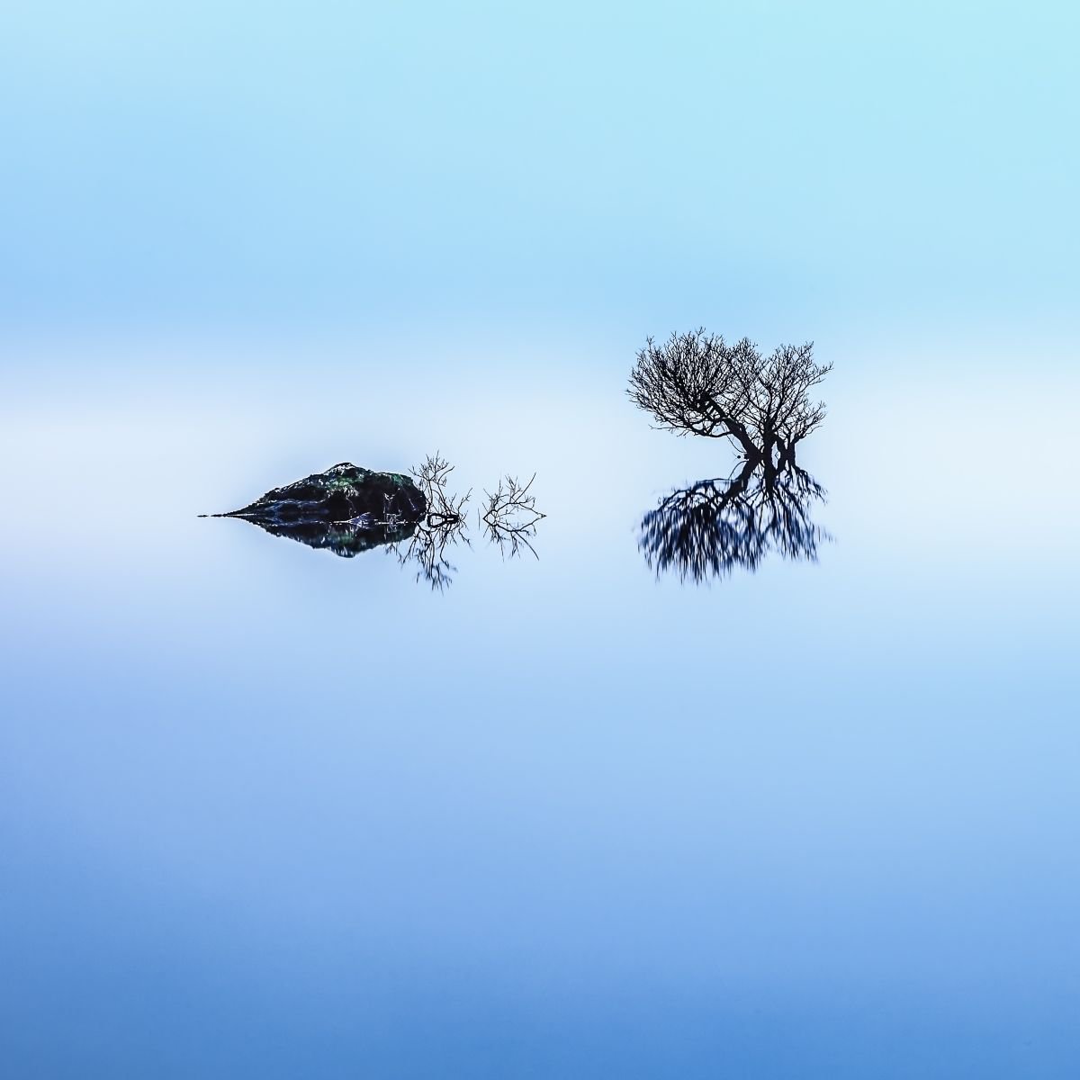 Be bold, be brave - Minimalist Blue - Scottish Loch and Tree by Lynne Douglas