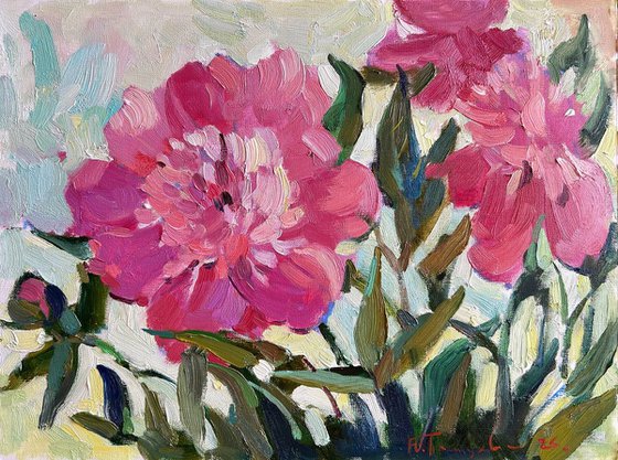 pink peonies