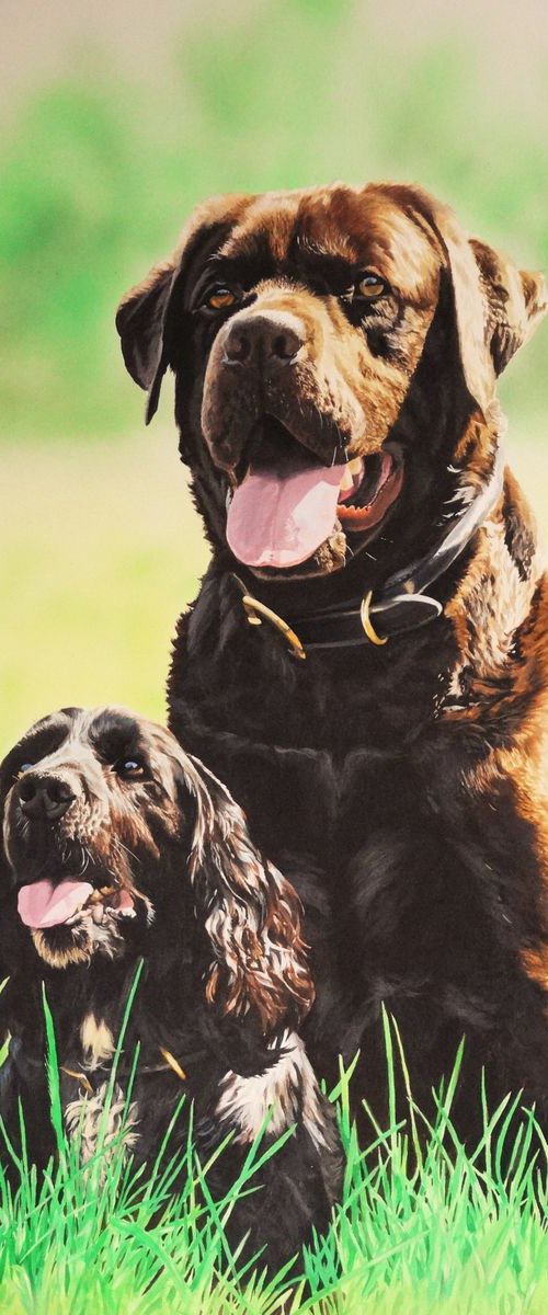 Samson and Dylan by Julian Wheat