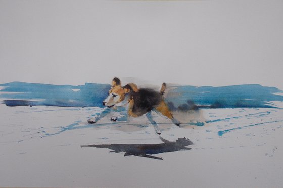 running dog 2