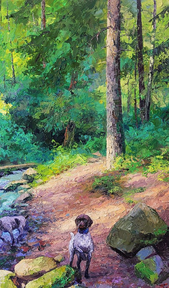 Mountain Stream in the Forest