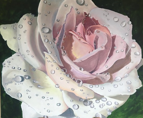 Morning Dew