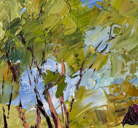 Willows over the Water