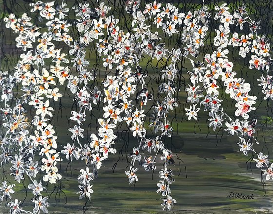 White Cherries 1