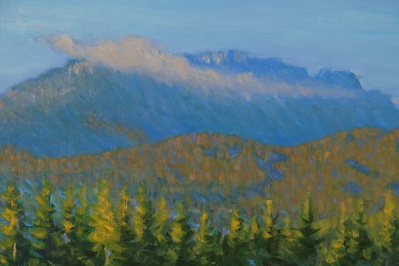 View from Jenner (Bavaria)