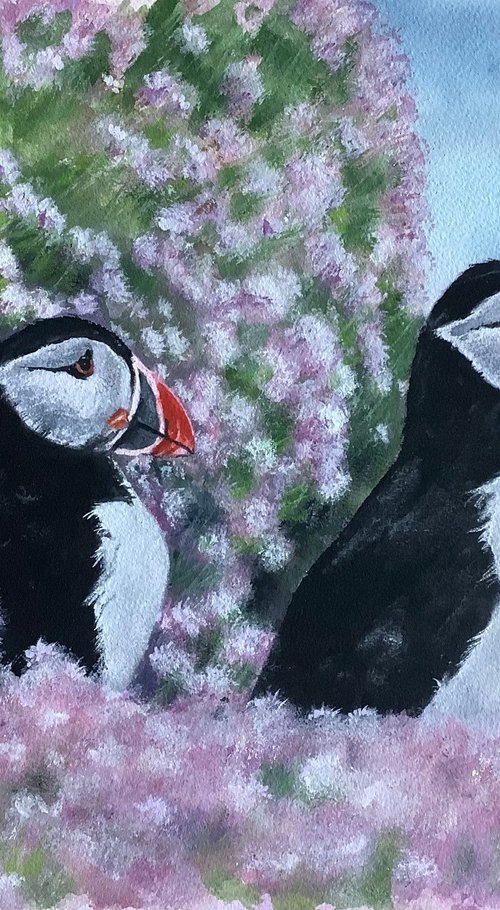 Puffins Amongst sea thrift by Darren Carey