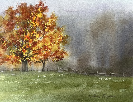 Autumn tree