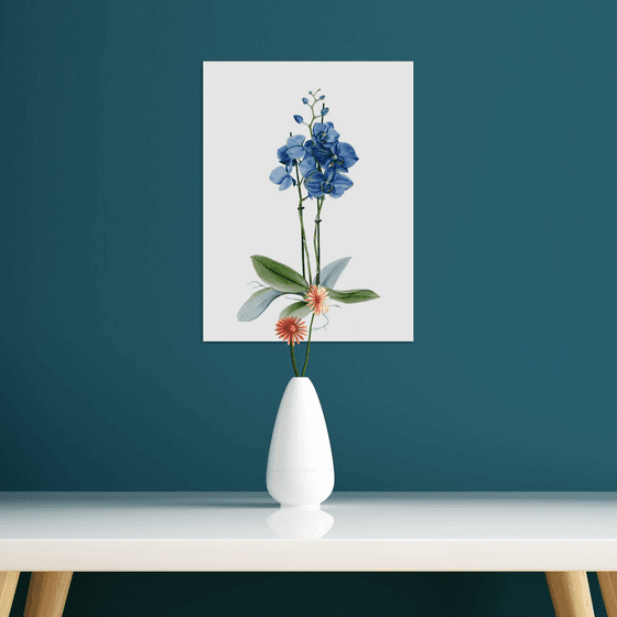 Blue orchid