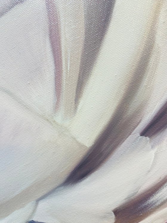 Petals of Light spring flowers blossoms peony