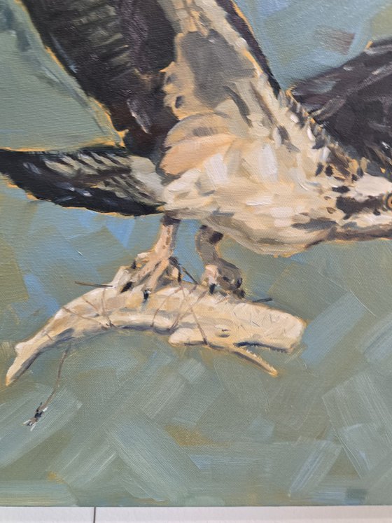 Vengeance Takes Flight