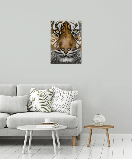 Tiger Eye Acrylic painting by Paul Hardern | Artfinder