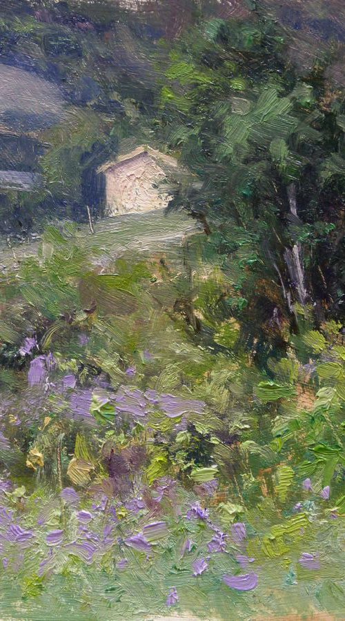 Shed in Provence by Pascal Giroud