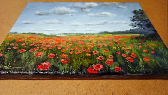 Poppy horizon
