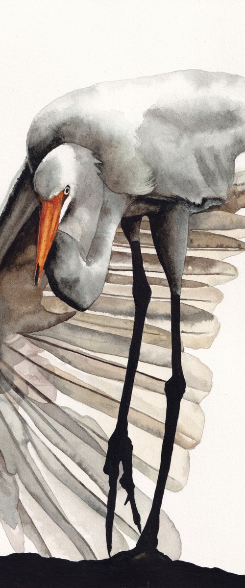 Egret by Lisa Lennon